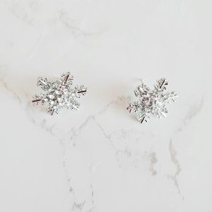 Snowflakes Earrings